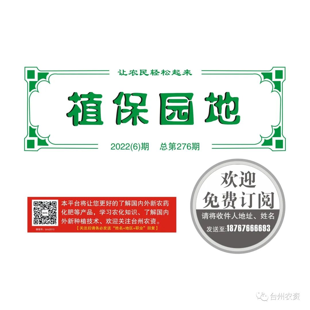 梅雨季節(jié)來臨，柑橘即將穩(wěn)果，注意管理好夏梢，合理施肥打藥